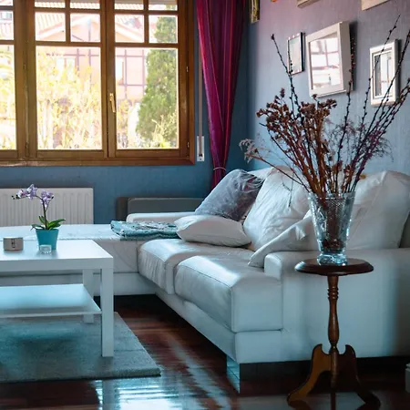 Bilbao-aeropuerto 民宿 *